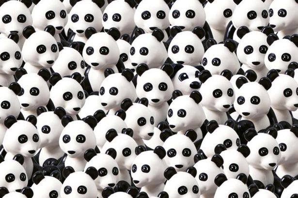 cão LEGO DUPLO escondido entre os Pandas