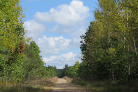country road