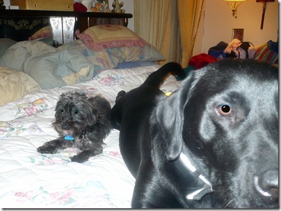 Rigg's&Sadie01-14-11