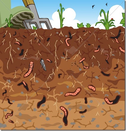 soil soil