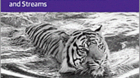 Head First Java 8 Pdf Download