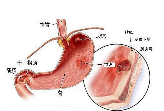 維生素B族