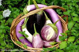 benefits_of_eating_eggplant_fruits-vegetables-benefitsblogspot.com(4)