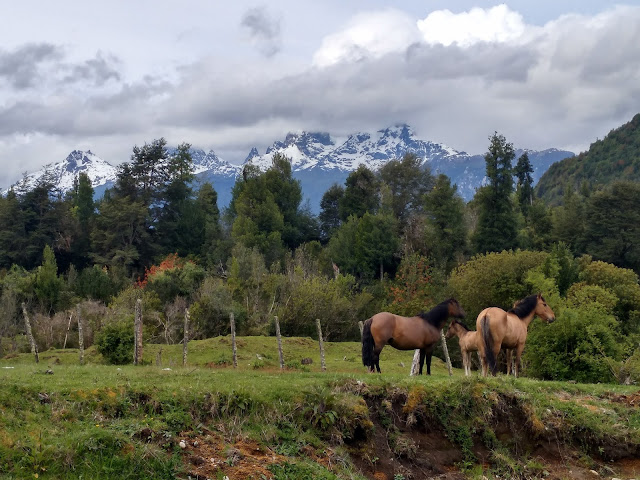 Cerro Barros Arana, Chile