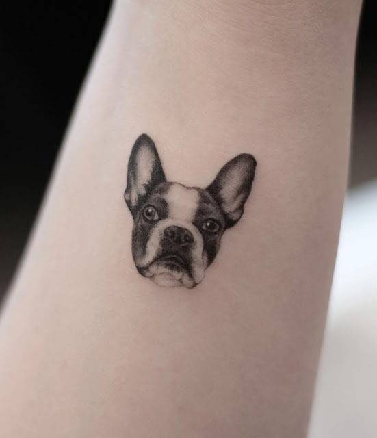 Tatuagens de cachorro e gato 