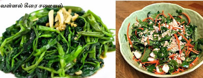 water spinach food