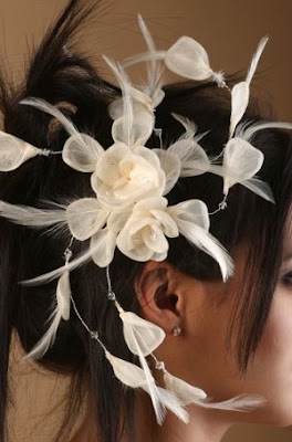 - Tiaras und einige Tipps zu platzieren - - Tiaras und einige Tipps zu platzieren -
