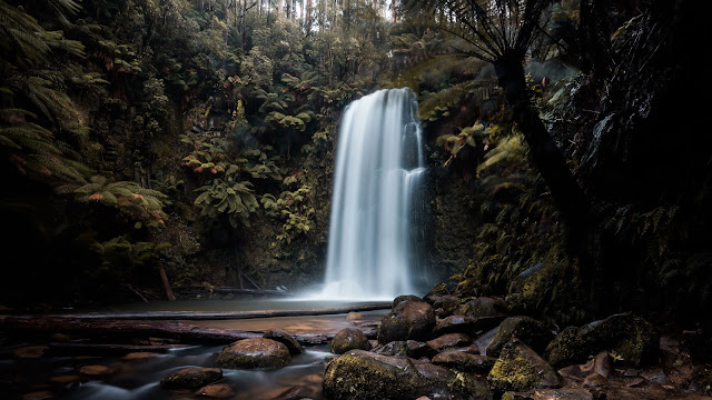 Plants, Stones, Waterfall, Cliff