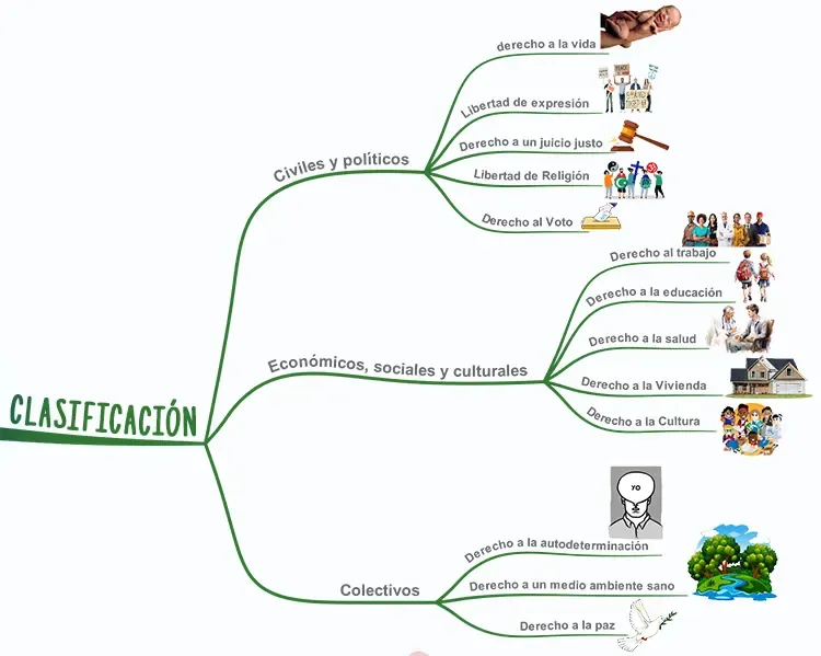 Rama principal clasificación de los derechos humanos