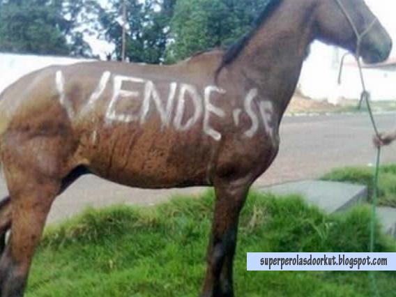 Vende-se um cavalo