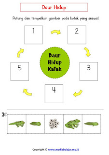 Lembar Kerja Daur Hidup Katak