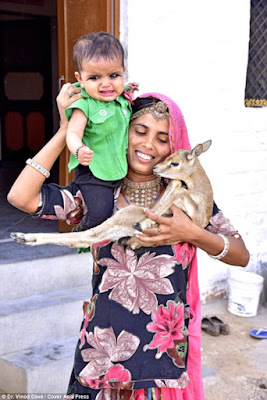 Meet The Indian Tribeswomen Who Breastfeed Deer Alongside Their Children. [SHOCKING PHOTOS] The Bishnoi mothers 5