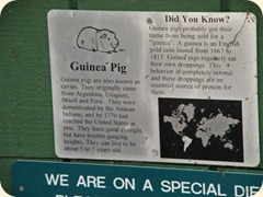 913