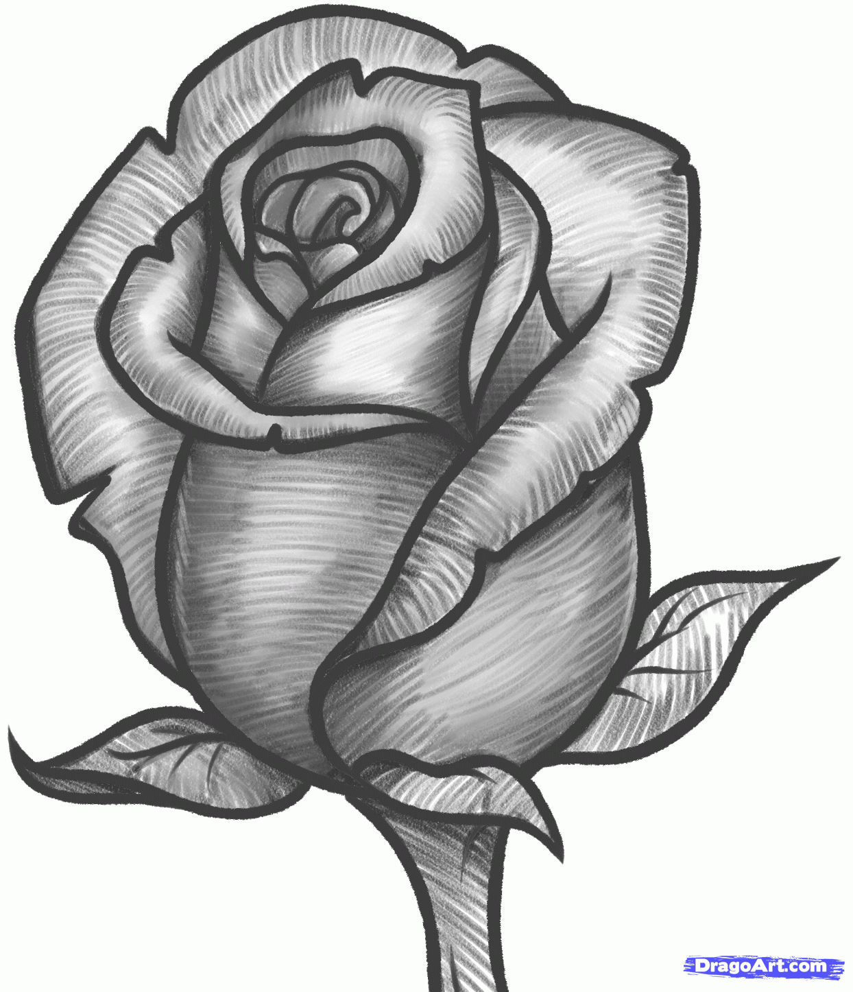 JUST SIMPLE BLOG: HOW TO DRAW A ROSE BUD
