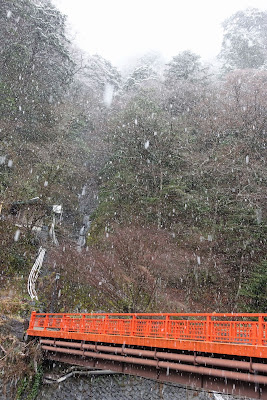 2020年3月14日の雪