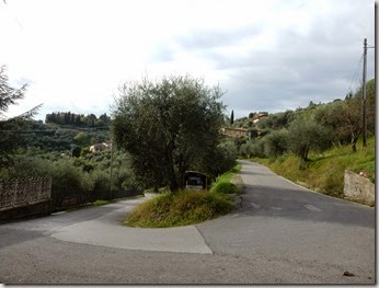 DSCN0437