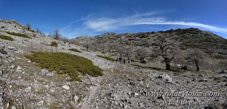 Alcazaba - Torrecilla - Pinsapar de la Yedra desde la Majá de Paco Aguera
