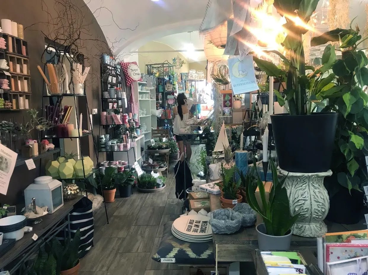 Plant Shops And Plant Delivery Services in Vienna, Stielreich Plant Shop, Where to Buy Plants in Vienna