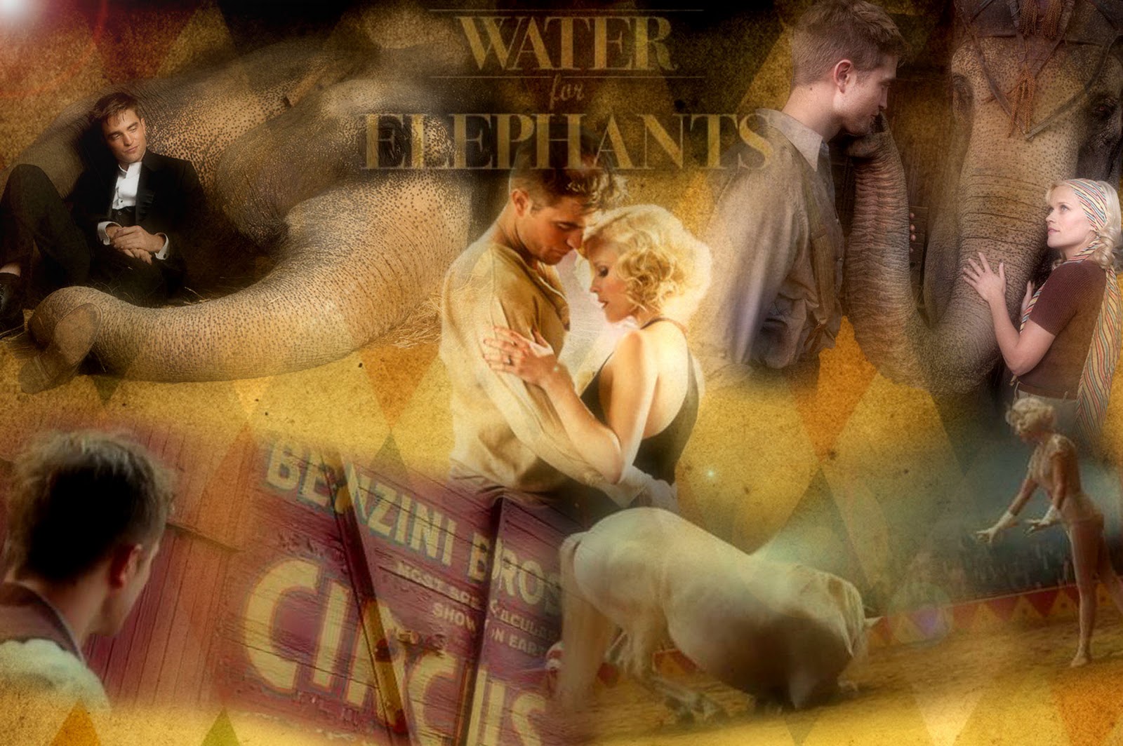 My Rob Addiction: Water for Elephants Wallpaper