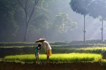  PETANI DAN ANAK ANAKNYA SUARA KESATUAN PEKERJA PEKERJA KTMB