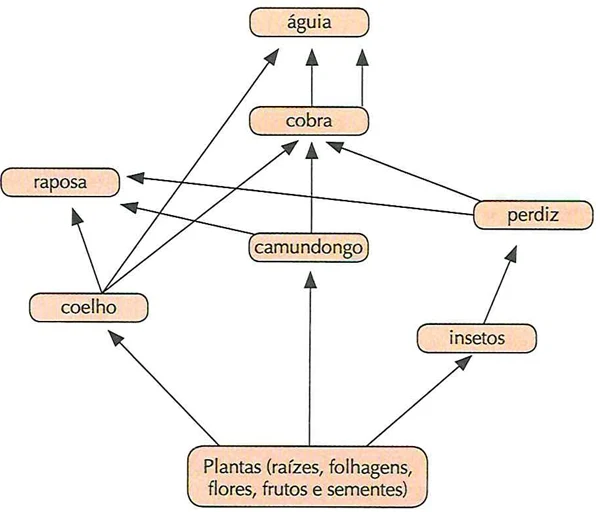 UFG Analise o diagrama a seguir. A teia alimentar representada evidencia as relações interespecíficas de uma comunidade que ocorre em vários ecossistemas