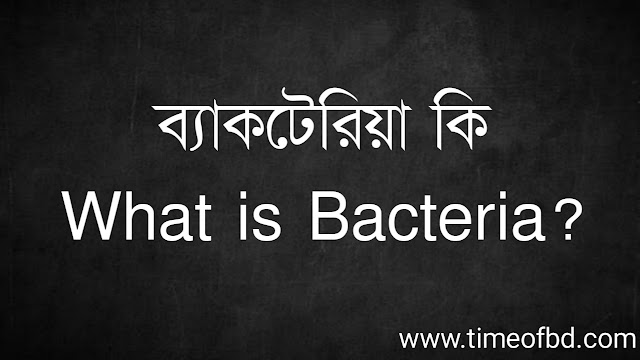 ব্যাকটেরিয়া কি | What is bacteria?
