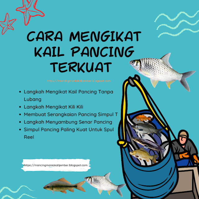 Cara Mengikat Senar Pancing, Cara Mengikat Senar Ke Reel, Cara Mengikat Senar Ke Kili2, Mengikat Senar Pancing, Cara Mengikat Senar Ke Kail, Cara Mengikat Senar Pancing Ke Reel, Cara Mengikat Senar Ke Neklin, Cara Mengikat Senar Pancing Ke Kail, Mengikat Kail Pancing, Mengikat Pancing, Mengikat Mata Pancing, Mengikat Pancing Yang Benar, Mengikat Timah Pancing, Ikat Kail Pancing, Ikat Mata Pancing, Ikat Pancing Cabang 2, Ikat Mata Kail Pancing, Ikat Senar Pancing, Alat Ikat Kail Pancing, Alat Ikat Mata Pancing, Cara Mengikat Kail, Cara Mengikat Mata Kail 3, Mengikat Kail, Mengikat Mata Kail, Cara Mengikat Kail Tanpa Lubang, Cara Mengikat Kail 3, Cara Mengikat Mata Kail Yang Benar, Cara Mengikat Kail Yang Benar, Cara Mengikat Kail 2, Cara Mengikat Kail Yg Benar, Cara Mengikat Kail Kecil, Cara Mengikat Kail Jigging, Mengikat Kail Tanpa Lubang, Cara Ikat Pe Ke Leader, Cara Ikat Kili Kili, Cara Ikat Ring Joran, Cara Ikat Kili2, Cara Ikat Mancing,