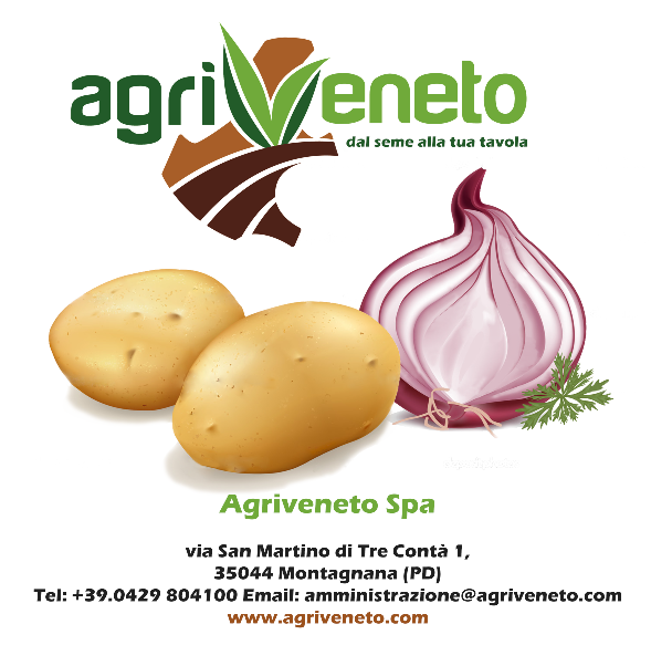 patate-cipolle-agriveneto-verdure-montagnana-padova