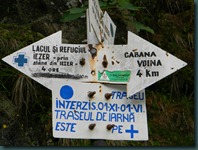 DSCN6369