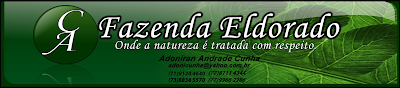 Fazenda Eldorado