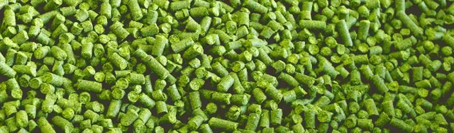 adding hops to home brew beer