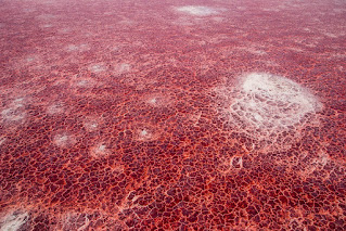 Deadly lake in Tanzania