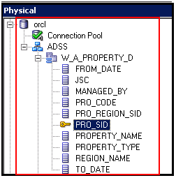 Physical Layer Objects in OBIEE 11g