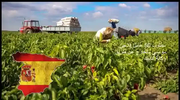 مطلوب 50 عامل فلاحي موسمي بالخارج عن طريق وكالة أنابيك
