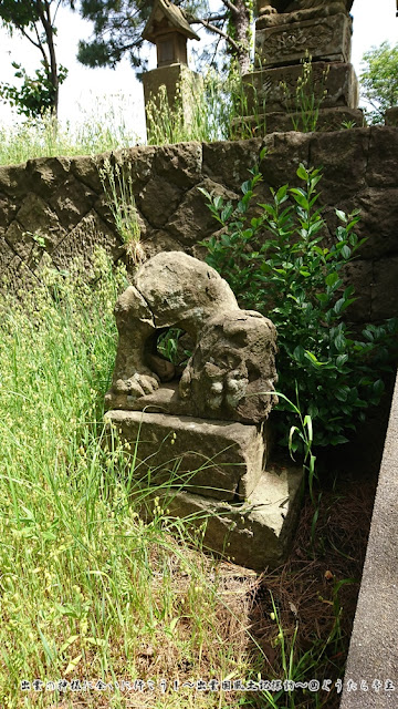 亀島神社　狛犬