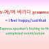 V-아/어 버리다 grammar = Express speaker’s feeling to the completed event/action