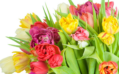 Tulipanes de colores para el Día de las Madres