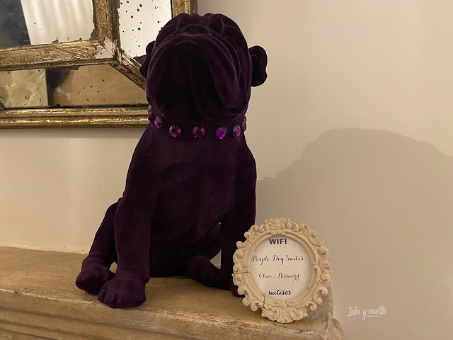 Purple Dog Suites icono