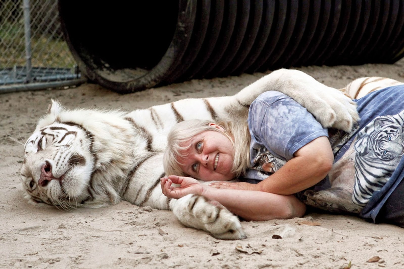 Janice Haley, Janice Haley And Her Tigers, Samber, Janda