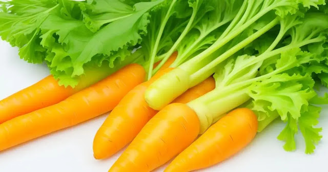 Yellow Carrot