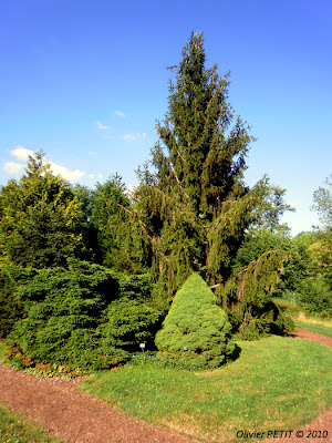 VILLERS-LES-NANCY (54) : Le jardin botanique du Montet