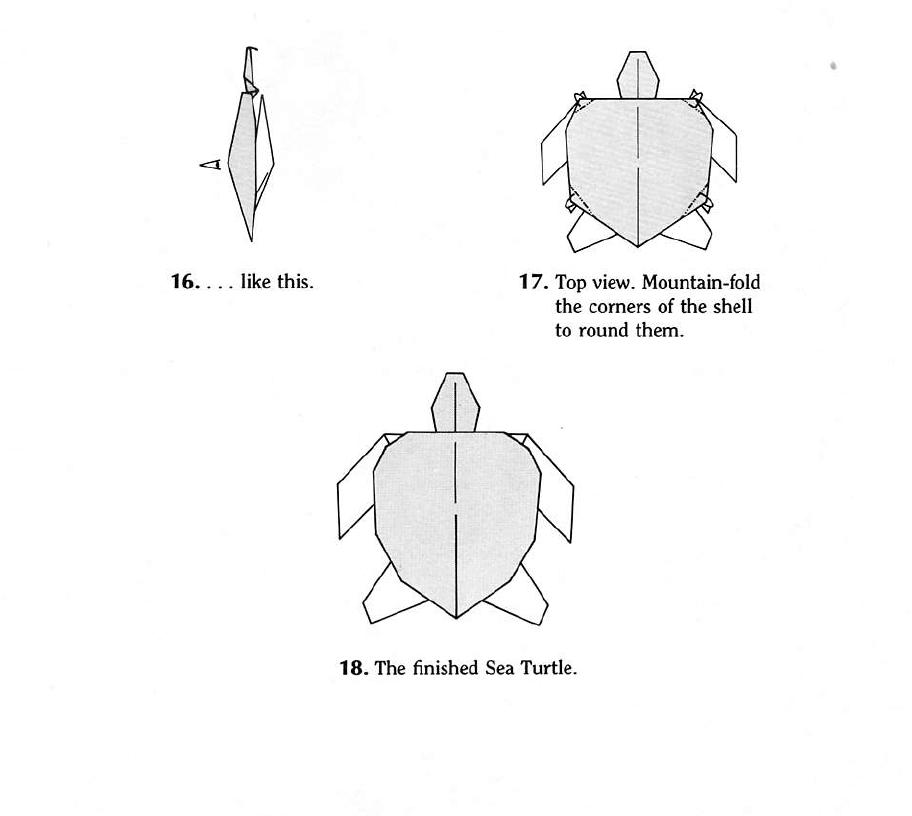 tortugas de mar. TORTUGA DE MAR