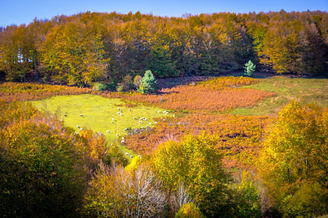 España, Navarra, Pirineo