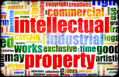 INTELLECTUAL PROPERTY RIGHTS