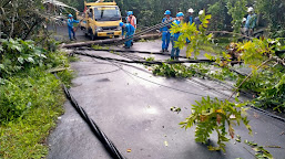    Segerombol Tiang Di Desa Sibetan Rebah, Akarnya Tercabut 