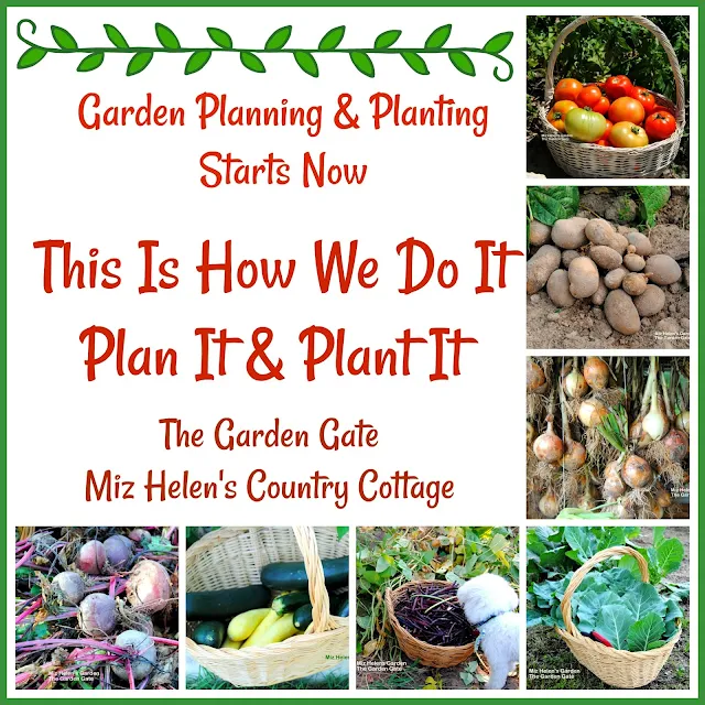 Garden Planning and Planting at Miz Helen's Country Cottage