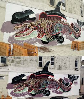 Graffiti Street Art Dolphin Anatomi by Nychos