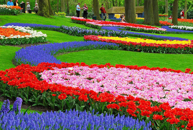 Keukenhof, Lisse, Hà Lan