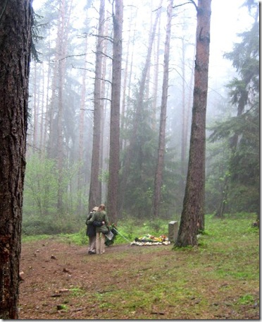 clip_image008