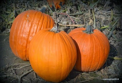 Pumpkins